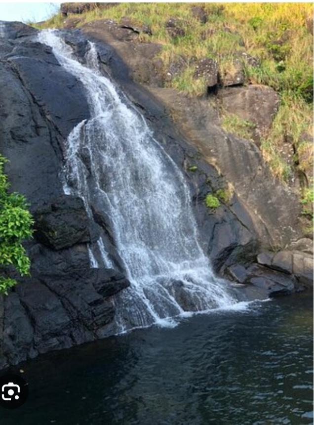 Tea Haven Vagamon