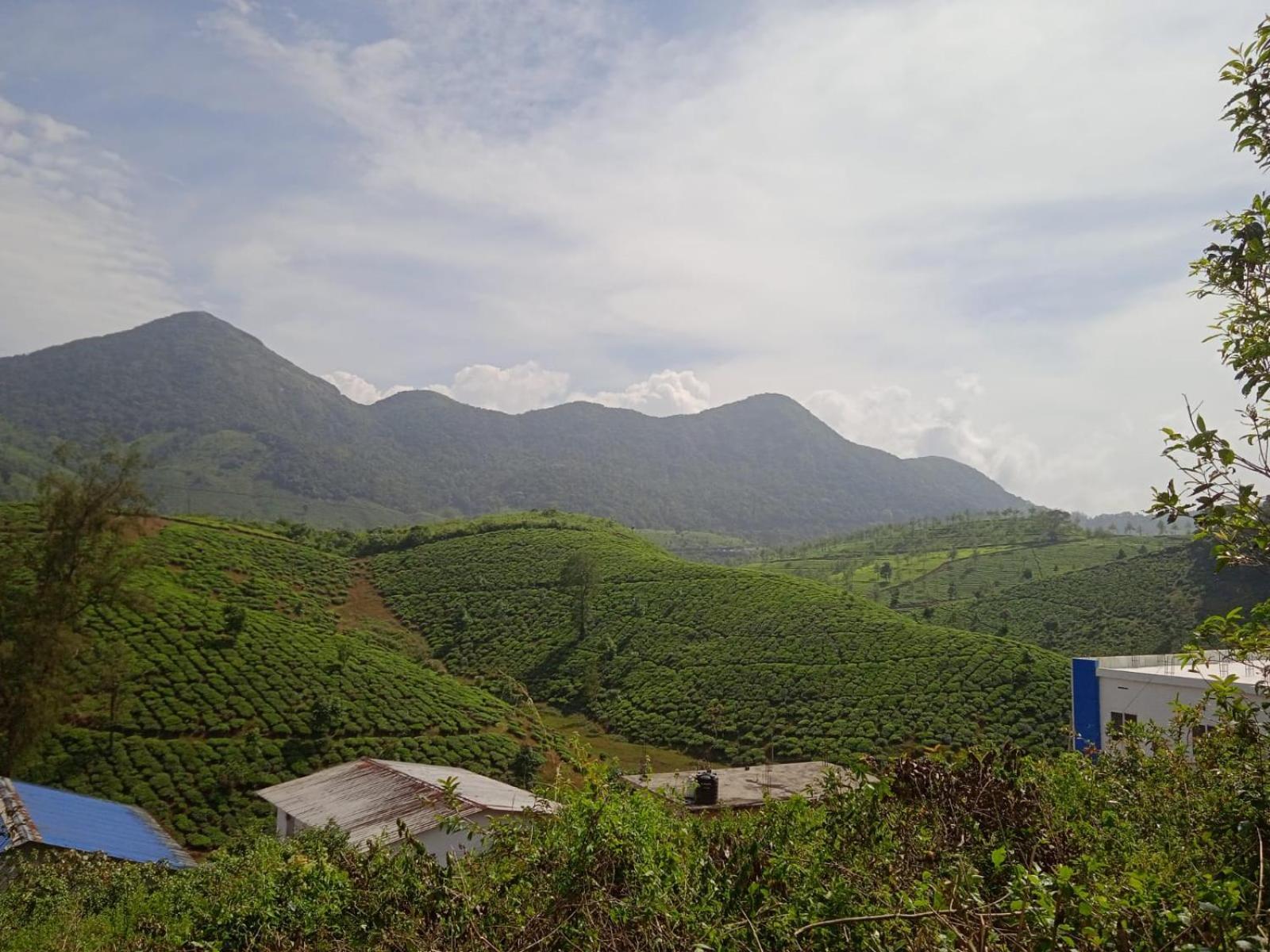 Tea Haven Vagamon