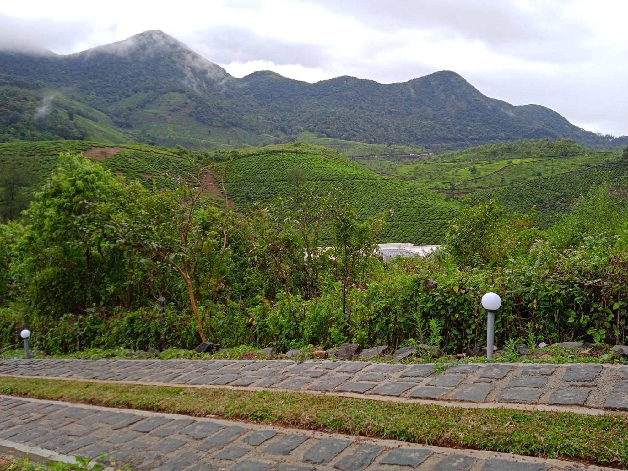 Tea Haven Holiday home *