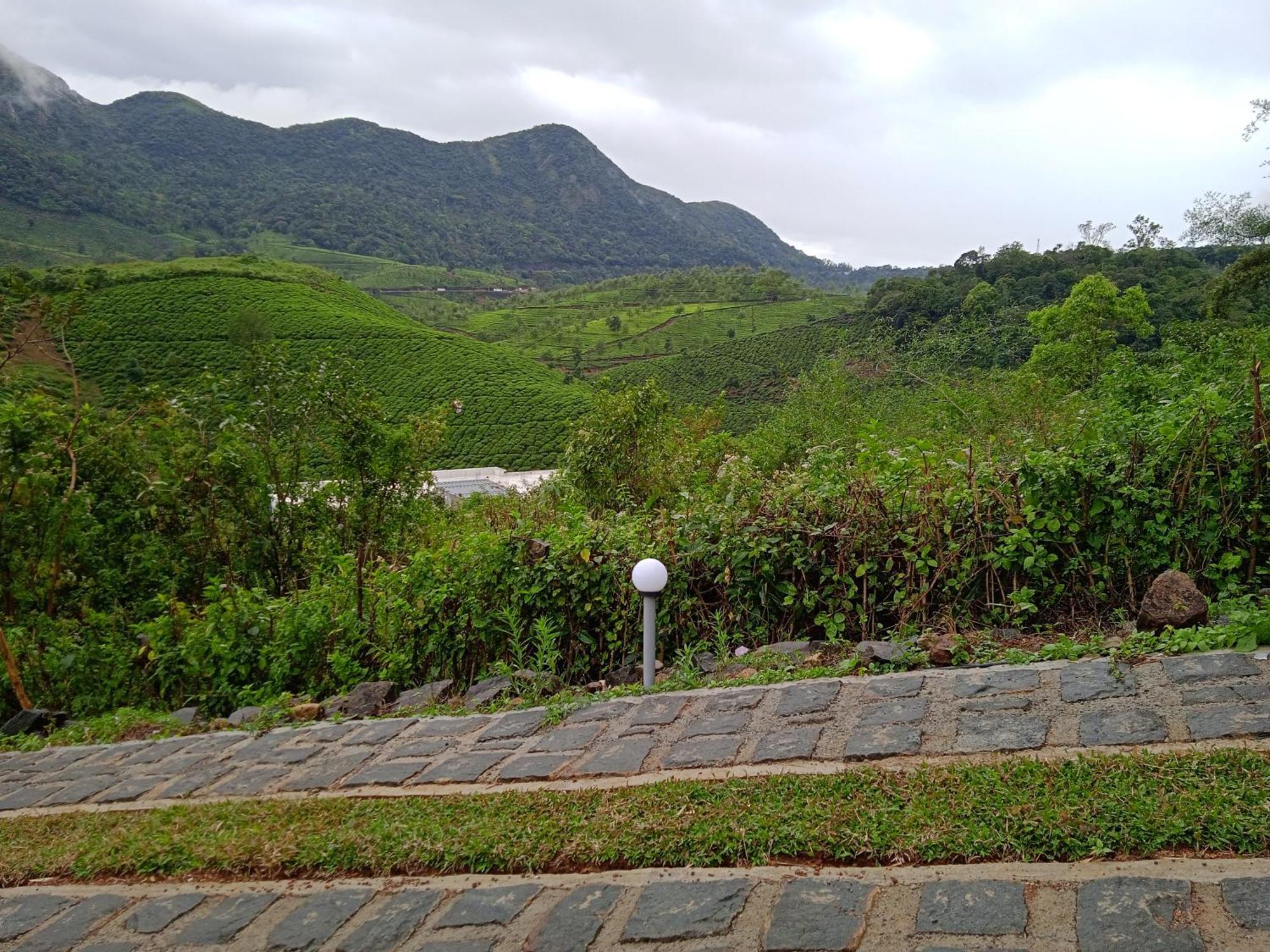 Tea Haven Holiday home