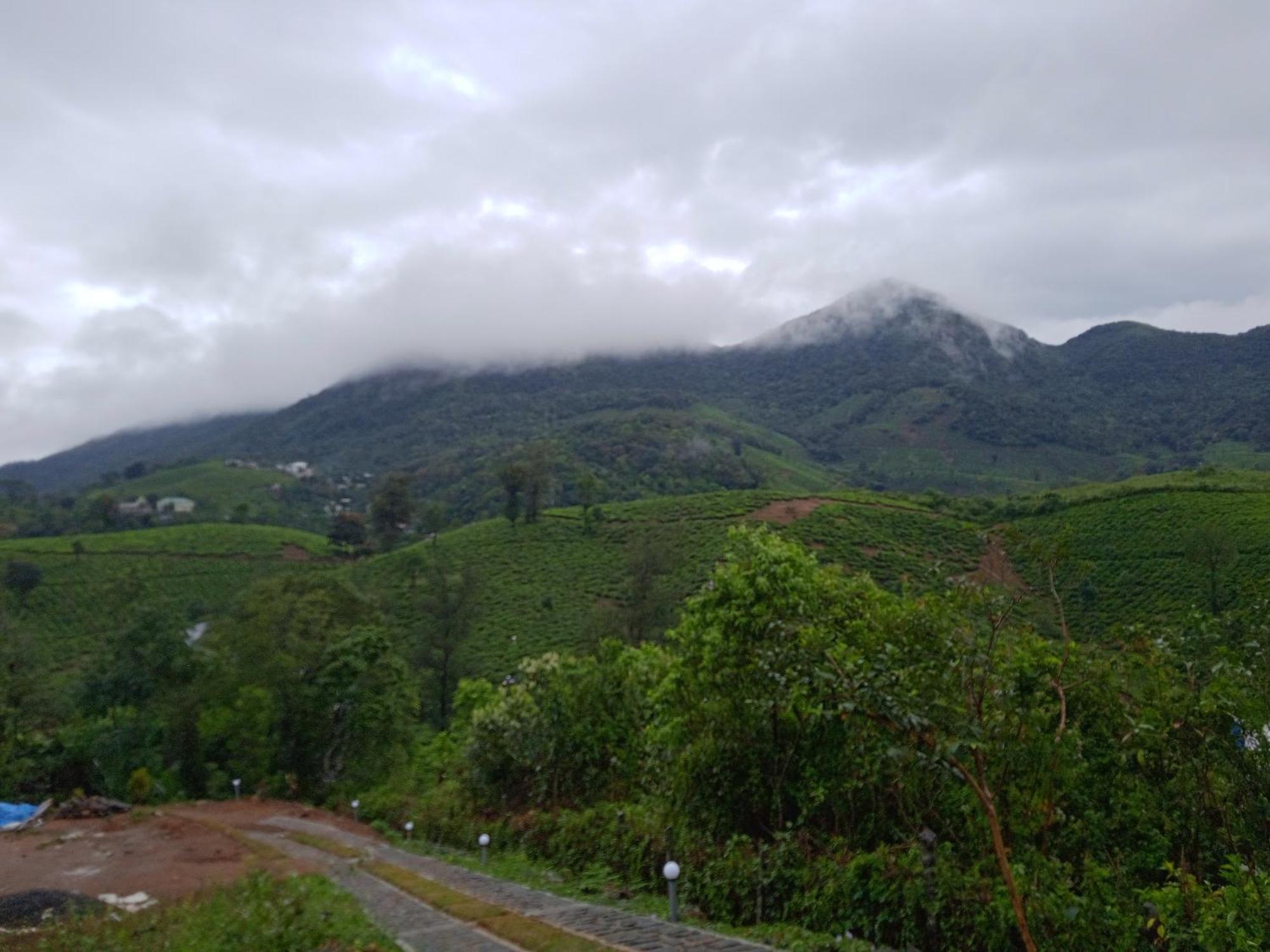 Tea Haven * Vagamon