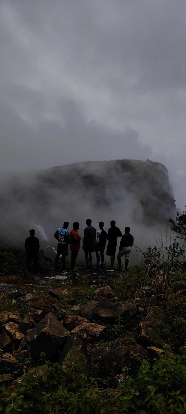 Tea Haven * Vagamon