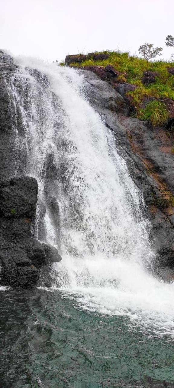 Tea Haven Vagamon